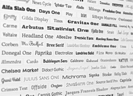 Features Magento